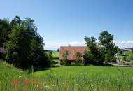 Wunderschönes Grundstück am Waldrand in prominenter Dornbirner Lage