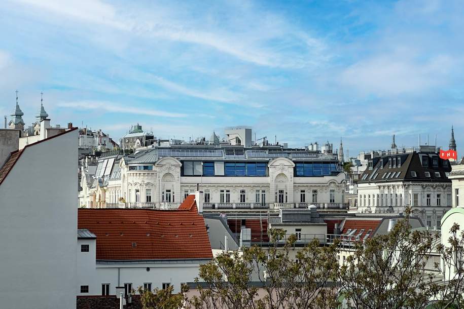 Penthouse DG // Best Lage - 1040 Wien, Wohnung-kauf, 1.870.000,€, 1040 Wien 4., Wieden