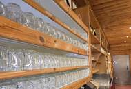 Großes Haus für Visionäre in Aussichtslage (Buschenschank, Weingärten)