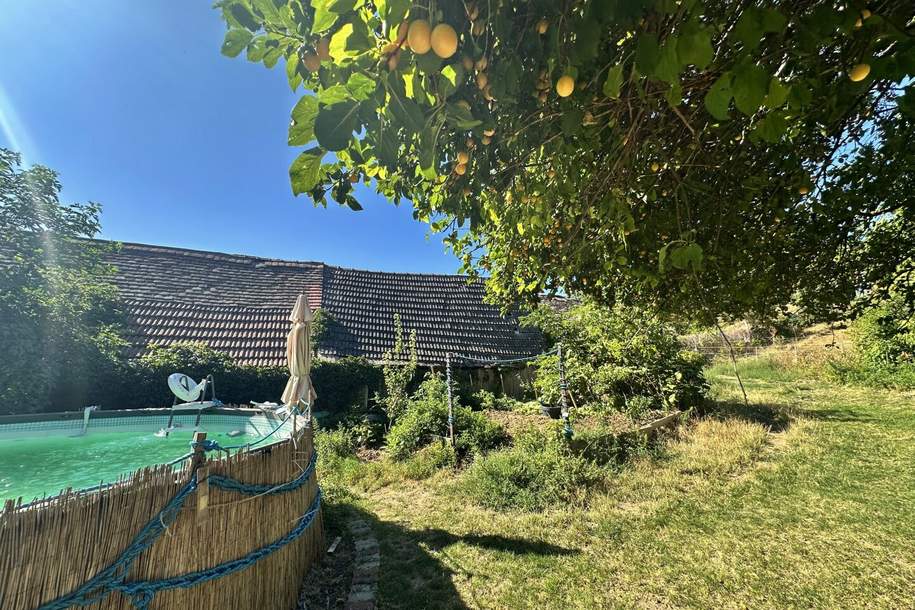 Leben, Wohnen, Reiten – Ihr eigenes Paradies im Weinviertel!, Haus-kauf, 319.000,€, 2225 Gänserndorf