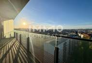 TOP-Ausblick: City mit Stephansdom, Donaukanal, Prater. Concierge, Party & BBQ Lounge, Pool usw.