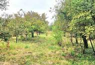 BAUGRUND in den Golser Weinbergen