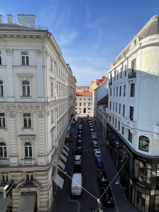 Neu renovierte 168,11 m² Bürofläche in repräsentativem Stilaltbau Nähe Albertina!