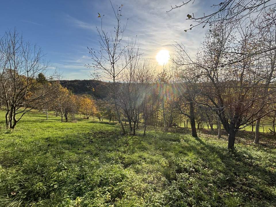 6.026m² Land und Forstwirtschaftliche Fläche in Ruppersdorf