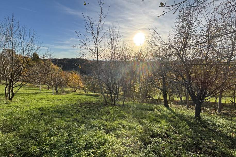 6.026m² Land und Forstwirtschaftliche Fläche in Ruppersdorf, Grund und Boden-kauf, 24.105,€, 8362 Hartberg-Fürstenfeld