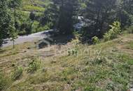 Ramsau am Dachstein: 827 m² Grundstück für Eigenheim, Praxis oder Geschäftslokal