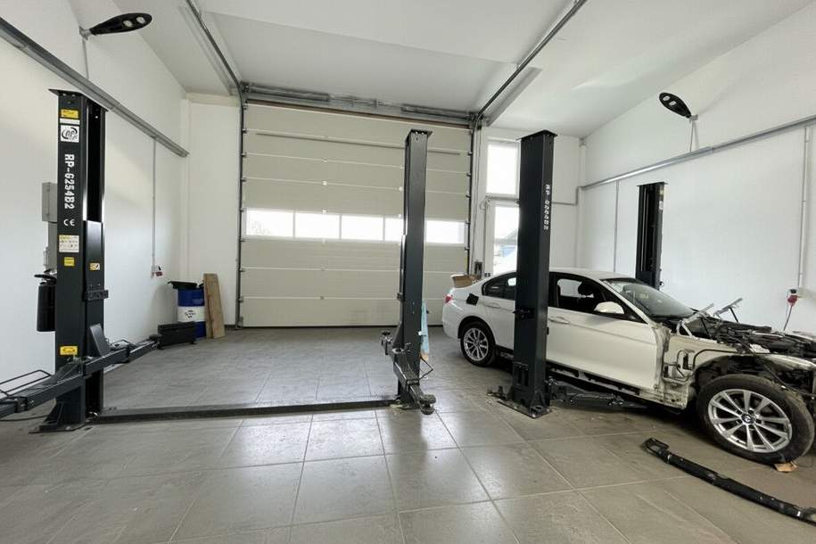 Mitbenutzer gesucht!!! Große Halle, Werkstatt mit Lichtkuppel, Sektionaltor 5m breit, 4,10m hoch und WC, inkl. PKW Parkplatz und 2 Hebebühnen, Gewerbeobjekt-miete, 295,00,€, 2601 Wiener Neustadt(Land)