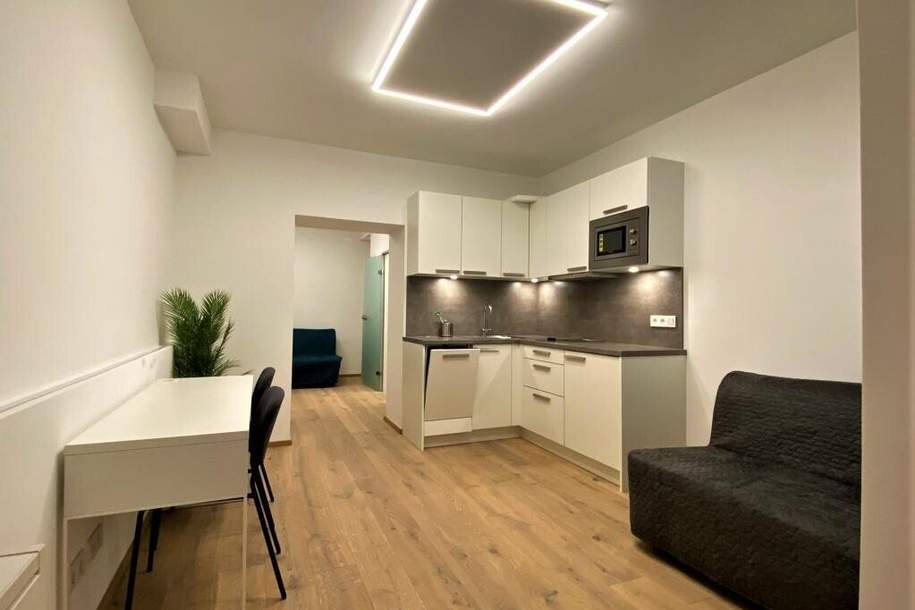 Kleinwohnung auch gewerblich nutzbar, Wohnung-miete, 847,00,€, 1030 Wien 3., Landstraße