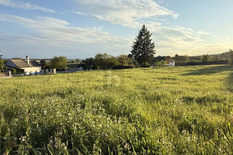 PANORAMABLICK IN TOP RUHELAGE MT SÜD-WEST AUSRICHTUNG, Grund und Boden-kauf, 114.000,€, 7323 Oberpullendorf
