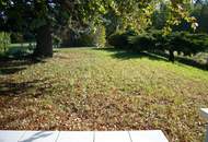 "Garten mit Bungalow"