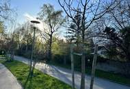 BAUTRÄGERGRUNDSTÜCK in absoluter ZENTRUMSLAGE - REVITALISIERUNG als auch NEUBAU möglich