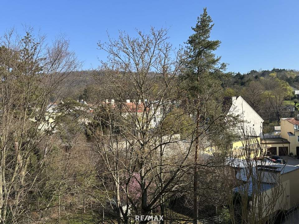 Charmante Stadtwohnung mit Ausblick – Perfekt für Singles & Anleger!