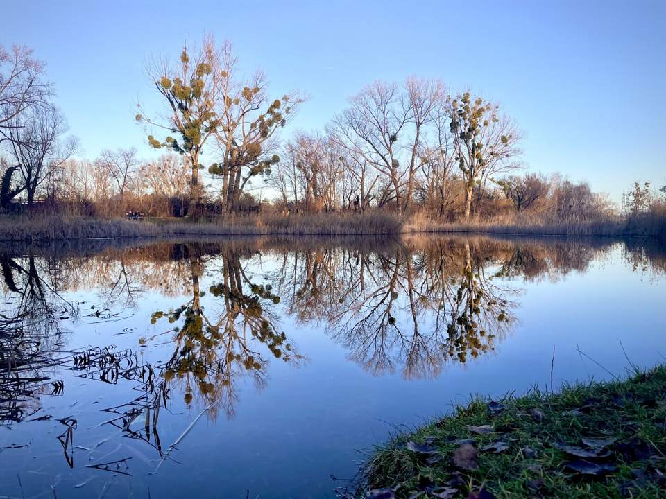 Baufirmen und Bauträger aufgepasst! Baubewilligtes Projekt für 3 Reihenhäuser nahe beim Oberen Mühlwasser!