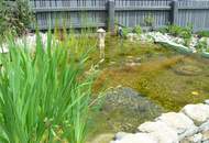 ARBEITEN UND WOHNEN UNTER EINEM DACH! 900 m² WOHN-NUTZFLÄCHE! WOHN- UND GESCHÄFTSHAUS NAHE WIEN!