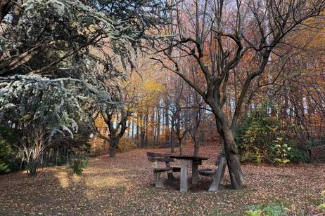 großer Baugrund in Ruhelage, idyllischer Ausblick, Grund und Boden-kauf, 499.000,€, 2384 Mödling