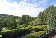 CHRISTOPH CHROMECEK IMMOBILIEN - SULZ IM WIENERWALD - Traumhafter Baugrund mit Blockhaus in Grün-Ruhelage!