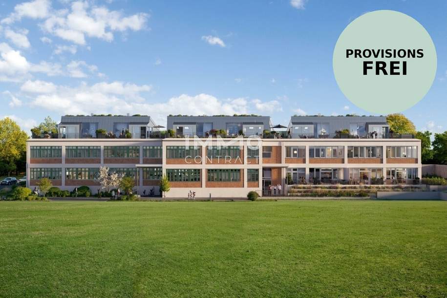 Geräumige Dreizimmer-Wohnung auf einer Ebene mit viel Licht & attraktiver Terrasse, Wohnung-kauf, 295.000,€, 1230 Wien 23., Liesing