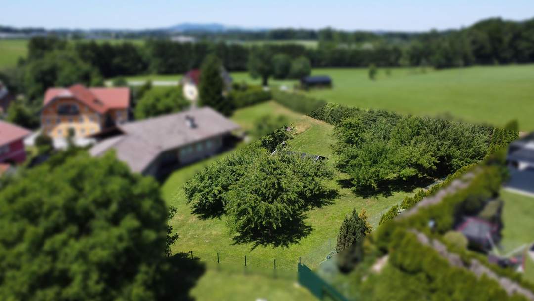 Sonniger Baugrund in Eugendorf (Baugrund I)