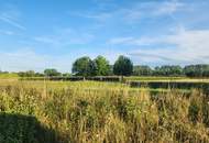 EINE SELTENE GELEGENHEIT AUF EINE KLEINE ACKERFLÄCHE IN FREUNDORF - ZUSAMMENHÄNGENDE LANDWIRTSCHAFTLICHE FLÄCHE