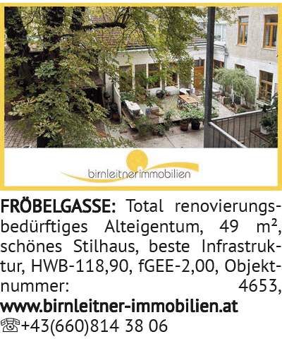 Total renovierungsbedürftiges Alteigentum, 49 m², schönes Stilhaus, beste Infrastruktur, HWB-11
