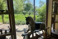 Familienidylle 40 Minuten von Wien | Ruhe &amp; Unabhängigkeit in Einzellage