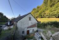 Zweifamilienwohnhaus Haselgraben