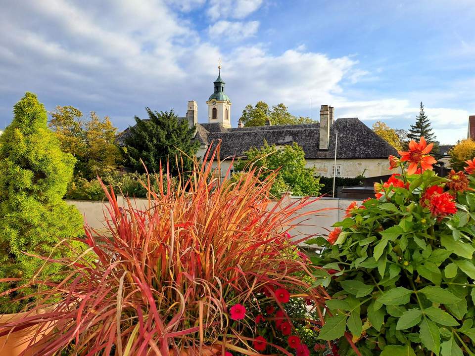 Charmante 2 Zimmer Wohnung mit Balkon und grandiosem Blick