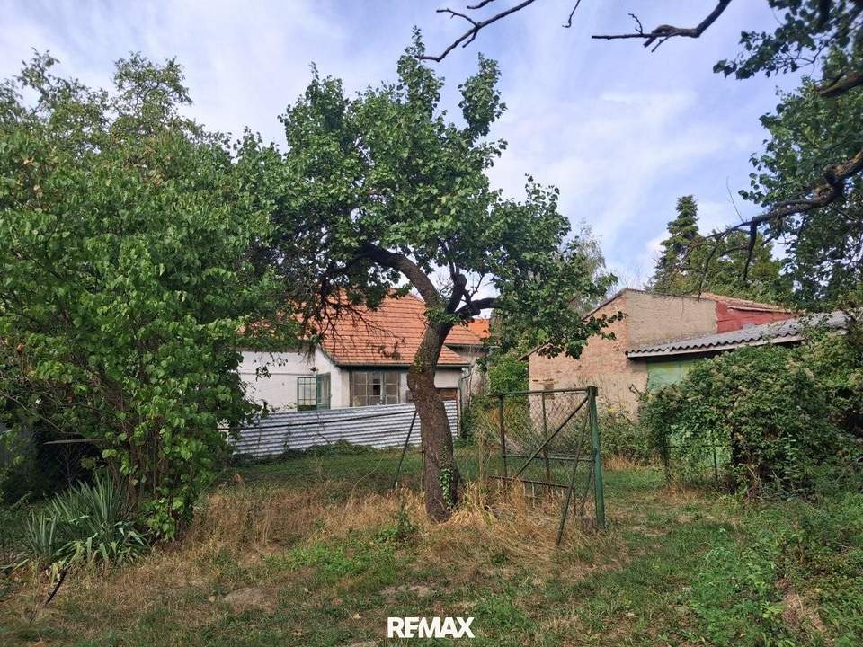 Mach mich groß - Projekt "Haus und Garten in Hornstein!"