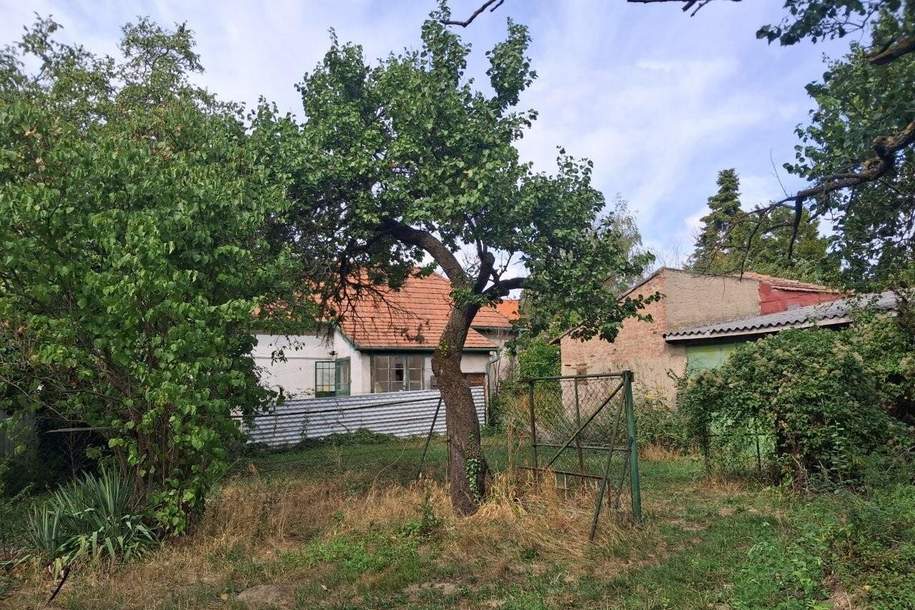 Mach mich groß - Projekt "Haus und Garten in Hornstein!", Haus-kauf, 392.000,€, 7053 Eisenstadt-Umgebung