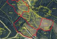 Preisreduktion !! Weingarten mit Landwirtschaft und Altbestand in Kranach, Gemeinde Gamlitz