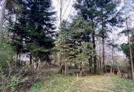 Bauernhof an der Hohen Wand " SINCE 1804 !!