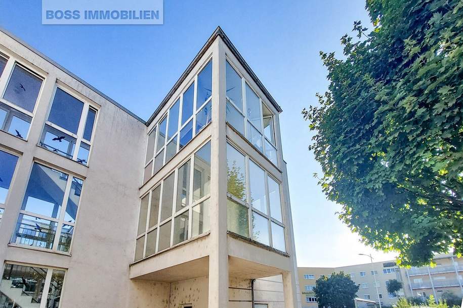 Licht &amp; Leben | mit Wintergarten und Loggia, Wohnung-kauf, 247.000,€, 4020 Linz(Stadt)