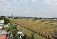 Familienwohnung in Bisamberg