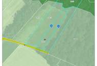 Landwirtschaftliche Grundstücke samt Wald in Stadtschlaining