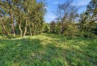 Wo die Seele ihr Zuhause findet: Ein Kunstwerk zwischen Wald und Wien