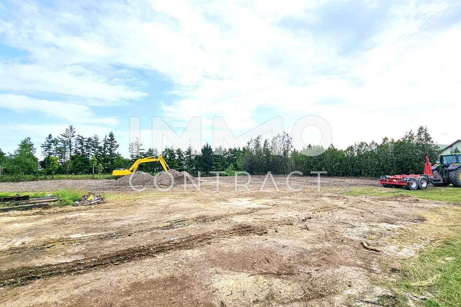 Hier beginnt Ihr Traum vom Eigenheim – großes Grundstück in idyllischer Lage, Grund und Boden-kauf, 305.000,€, 2751 Wiener Neustadt(Land)