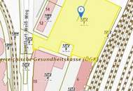 unbebaute Liegenschaft