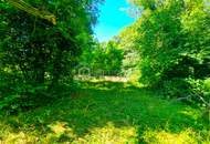 Großes Baugrundstück mit Altbestand vor den Toren Wiens. Bauträger aufgepasst! 1.000 m² bebaubare Fläche