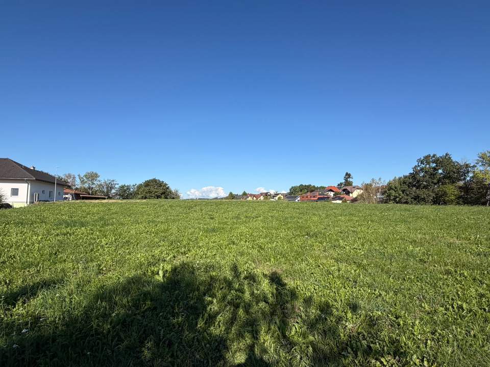 Baugrund für Traumhaus - ein wahrliches Sonnenplatzerl!