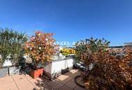 TERRASSENDACHGESCHOSS BEIM ALOIS-DRASCHE-PARK