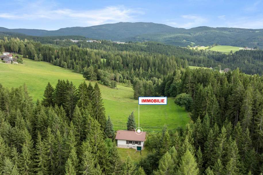 Alleinlage trifft Lebensqualität: Gemütliches Haus mit großem Grundstück inmitten der Natur, Haus-kauf, 225.000,€, 9451 Wolfsberg