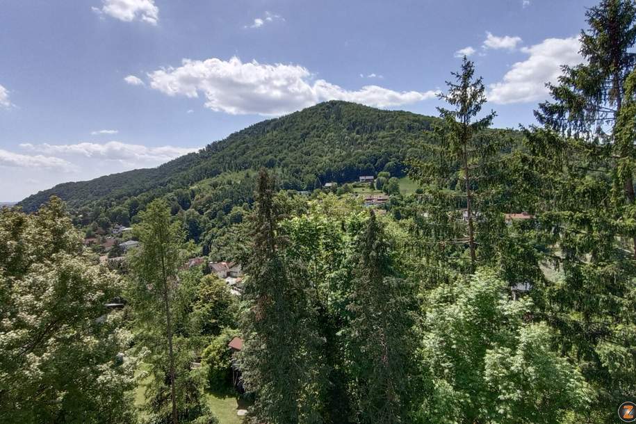 Große Eigentumswohnung mit herrlicher Aussicht, Wohnung-kauf, 498.000,€, 8051 Graz(Stadt)