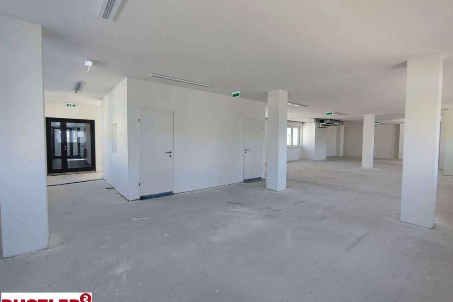 Ihr Büro in Hietzinger Bestlage, Gewerbeobjekt-miete, 6.255,36,€, 1130 Wien 13., Hietzing