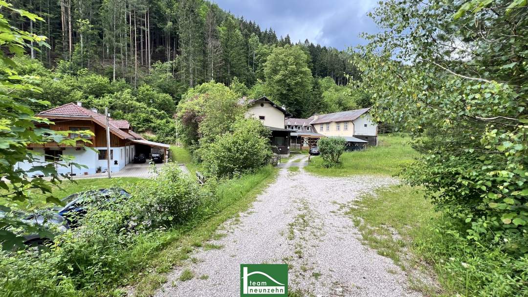 Altbestand auf wunderschönem Grundstück, gesamt ca. 4.700m² (Bauland/Wiesen/Wald) beim Wald nach der Hermannshöhle in absoluter Ruhe- &amp; Naturlage.