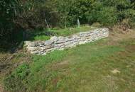 7000 Eisenstadt sehr schönes 60m2 Terrassen Apartment Top möbliert mit Seeblick in herrlicher Waldrand Ruhelage! (Provisionsfrei)