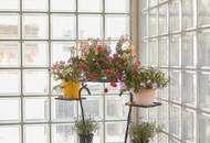 Sonniges Dachgeschoss-Juwel – Loggia mit Parkblick, nahe U2 Donauspital