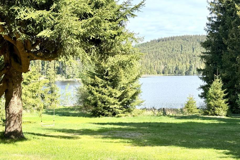 Das Haus am Edlesberger See – ein Rückzugsort mit Charakter, Haus-kauf, 798.000,€, 3665 Zwettl
