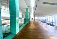Modernes Open Space Dachgeschossbüro mit großer Terrasse m Wiener Börsegebäude zu mieten