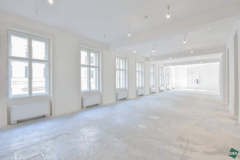 Erstbezug nach Sanierung – Repräsentatives Altbau-Büro nahe Rathaus mit Terrasse, Gewerbeobjekt-miete, 12.077,11,€, 1010 Wien 1., Innere Stadt