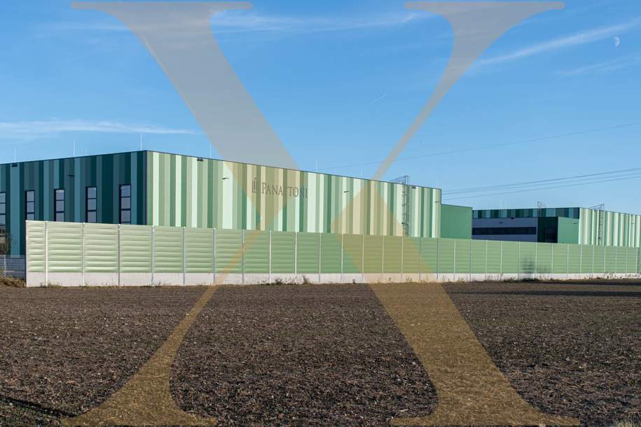 NEUBAU - Lager-/Produktionshalle (optional mit Büroflächen) in Enns/Ennshafen zu vermieten!, Gewerbeobjekt-miete, 4470 Linz-Land
